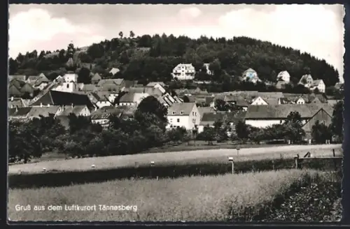 AK Tännesberg, Ortsansicht, Hügel, Wald