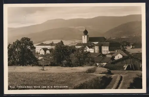 AK Lam /Bayr. Ostmark, Ortsansicht mit Kirche