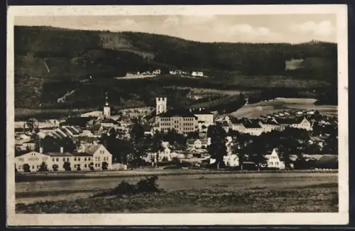 AK Furth i. Wald, Stadtansicht, Kirche, Burg
