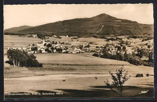 AK Grafenwiesen /Bayer. Wald, Ortsansicht, Landschaft