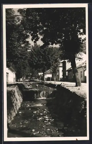 AK Rahó, Borkút ucca