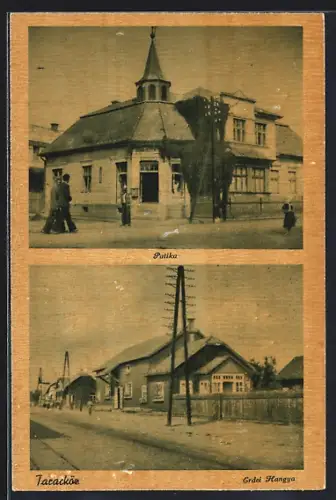 AK Taracköz, Patika, Erdei Hangya