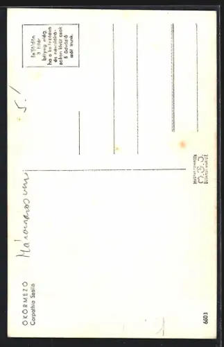 AK Ökörmezö, Carpathia Szálló