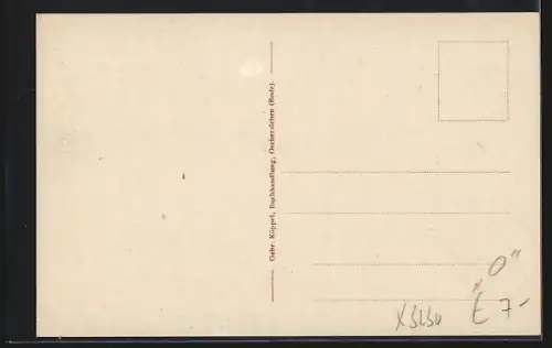 AK Oschersleben / Bode, Rathaus mit Brunnen