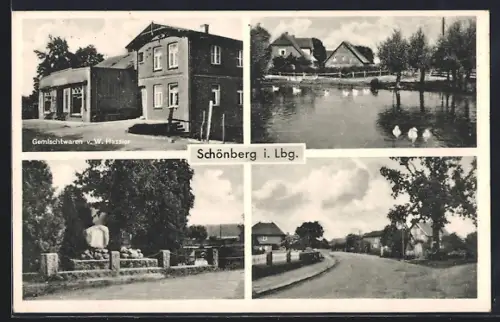 AK Schönberg / Lauenburg, Gemischtwaren W. Hassler, Strassenansicht, Denkmal, Teichpartie