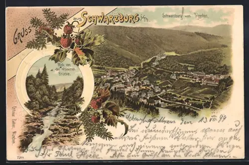 Lithographie Schwarzburg, Blick von der steinernen Brücke, Panorama
