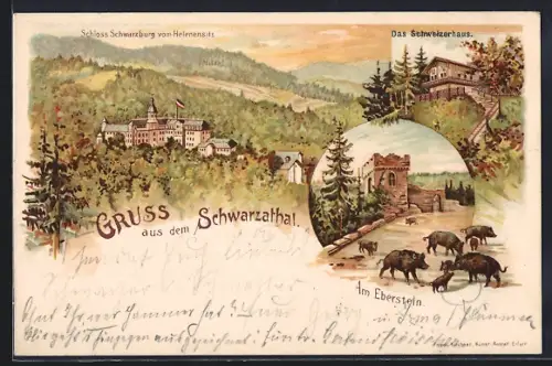 Lithographie Schwarzburg /Th., Schloss, Schweizerhaus, Wildschweine am Eberstein