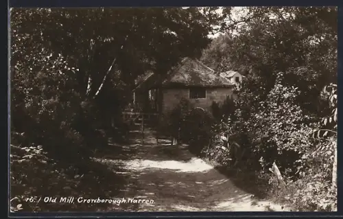 AK Crowborough Warren, Old Mill