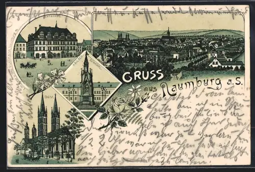 Lithographie Naumburg a. S., Krieger-Denkmal, Rathaus, Dom