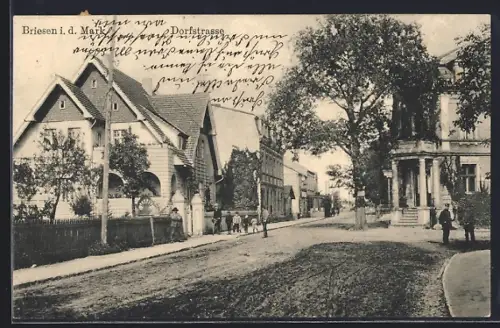AK Briesen i. d. Mark, Blick in die Dorfstrasse