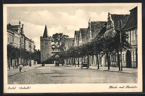 AK Zerbst /Anhalt, Heide-Strasse mit Heidetor