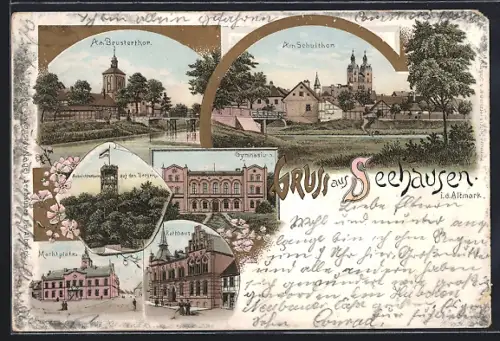 Lithographie Seehausen / Altmark, Gymnasium, Rathaus, Marktplatz, Am Schultor