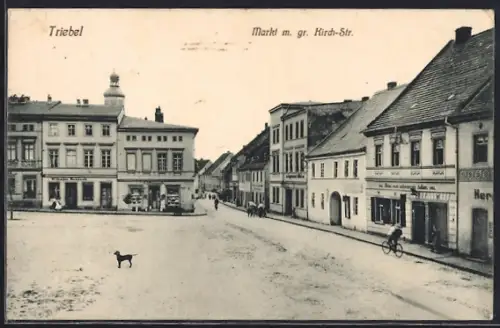 AK Triebel, Markt m. gr. Kirch-Strasse