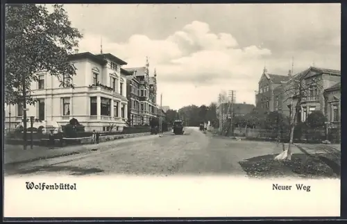 AK Wolfenbüttel, Villen an der Strasse Neuer Weg