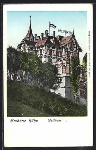 Goldfenster-AK Waldheim /Sachsen, Hotel Goldene Höhe, Totalansicht