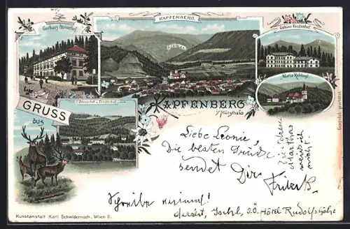 Lithographie Kapfenberg, Teilansicht, Kurhaus Steinerhof, Kurhaus Fürstenhof