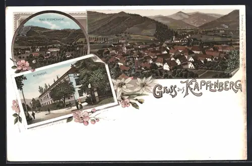 Lithographie Kapfenberg, Bad Steinerhof, Kurhaus und Gesamtansicht