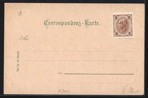 Lithographie Kapfenberg, Bad Steinerhof, Kurhaus und Gesamtansicht