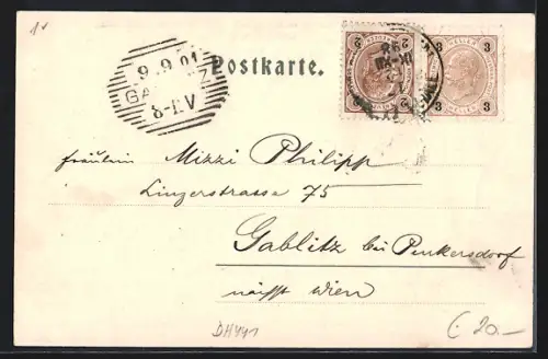 AK Frauenberg i. Mürzthal, Pfarrhof, Ez. Terler Gasthaus, Wunderbaum, Totalansicht