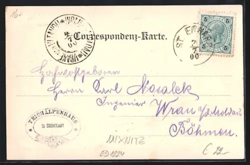 Lithographie Mixnitz, Hotel Teichalpe mit Gästen