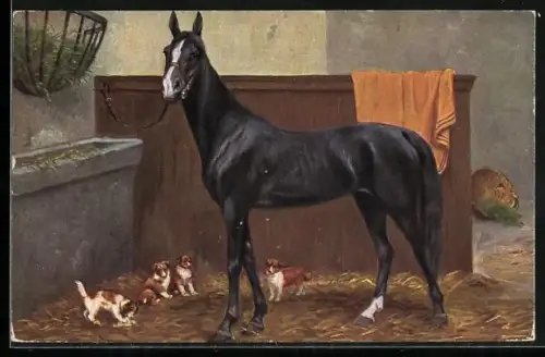 AK Edles Reitpferd mit Hundewelpen im Stall