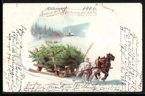 AK Transport von Weihnachtsbäumen per Schlitten