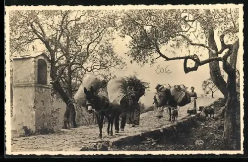 AK Cote d`Azur, Dans la Campagne