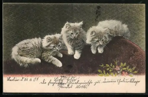 AK Drei kleine graue Katzen mit Blumen