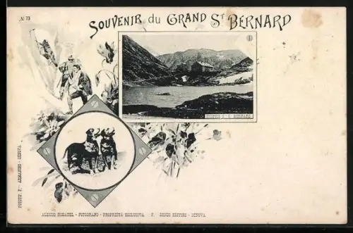 AK Grand St. Bernard, Hospice, Chiens