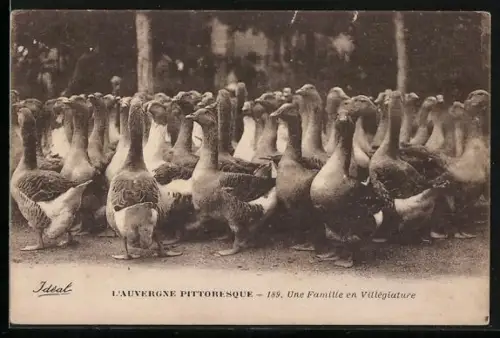 AK Auvergne, Une famille en Villegiature
