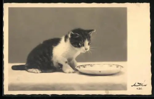AK Katzenkind vor einem Teller