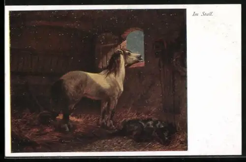 AK Ein Pferd schaut aus dem Stallfenster hinaus
