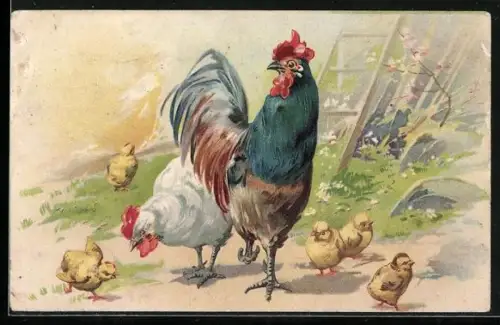 AK Hahn, Huhn und Kükenschar in der Sonne
