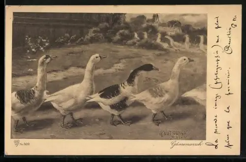 AK Gänsemarsch neben einem Wasserlauf