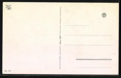 AK Weisse Enten im Wasser zwischen Felsen