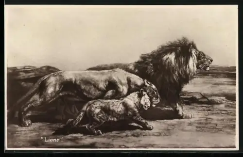 AK Löwenfamilie in der Savanne