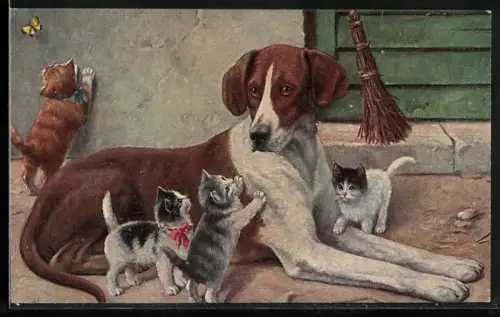 AK Tierfreundschaft zwischen Hund und Katzen