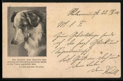 AK Tierschutz Berlin, Hundeportrait, Zitat Friedrich der Grosse