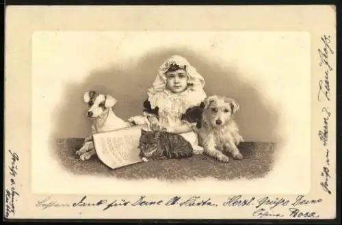 AK Mädchen, Hunde und Katze einträchtig nebeneinander