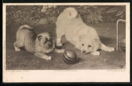 AK A little Game of Croquet, zwei Terrier mit einem Ball