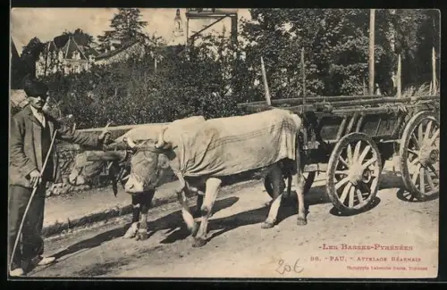 AK Pau, Attelage Béarnais
