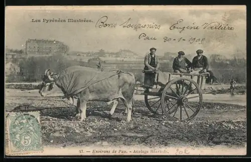 AK Pau, Environs, Attelage Béarnais