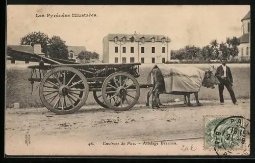 AK Environs de Pau, Attelage Béarnais
