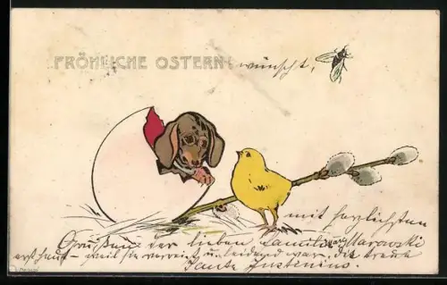 Lithographie Dackel schlüpft aus Ei, Küken sieht zu, Weidenzweig, Fliege, Ostergruss