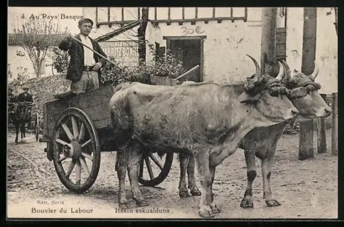 AK Au Pays Basque, Bouvier du Labour
