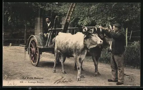AK Biarritz, Attelage Basque, Rinderkarren