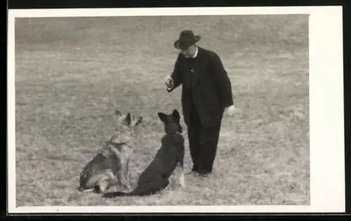 Foto-AK Aufmerksame Schäferhunde bei der Erziehung durch den Besitzer