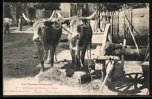 AK Les Basses-Pyrénées, Attelage de Boeufs au Repos
