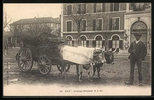 AK Pau, Attelage Béarnais, Theatre Cirque