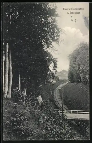 AK Malente-Gremsmühlen i. Steinbusch, Blick auf Bahngleise